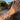 Hand wearing multiple bracelets and rings with a blurred outdoor background