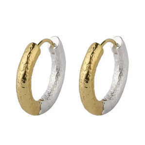 Silver And Gold Hoops