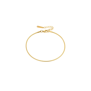 Gold Thin Chain Anklet